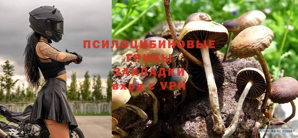 мдпв Дмитровск