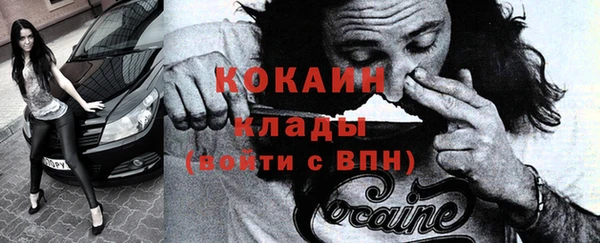 PSILOCYBIN Дмитриев