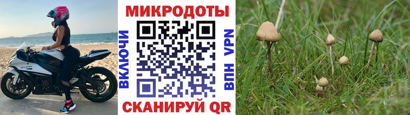 Галлюциногенные грибы MAGIC MUSHROOMS  omg онион  Красково 